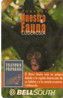 EQU-P-102C - Macaco Aranha