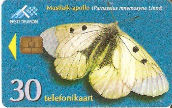 EST-138 - Borboleta