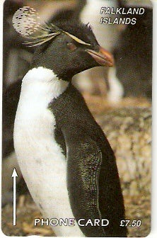 FLK-184A - Pinguim Rockhopper