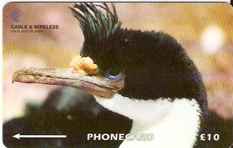 FLK-229Aa - Cormorant Rei