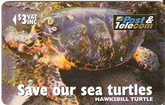 FIJ-083 - Hawksbill Turtle 'Taku'