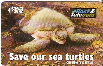 FIJ-084 - Green Turtle 'Vona Dina'