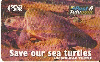 FIJ-085 - Loggerhead Turtle 'Tovonu'