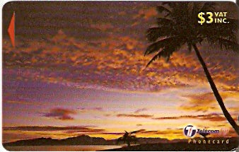 FIJ-169 - FIJ-169 - Palmeira ao Por do Sol - 1