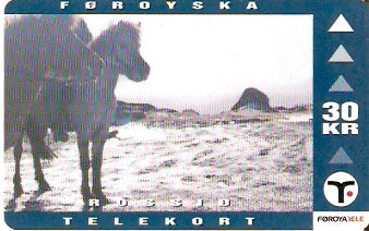 FRO-024 - Cavalo