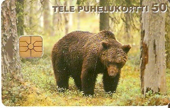 FIN-D-146 - Urso