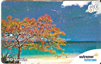 FRG-003 - Flamboyant na praia