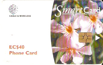 GRD-C-03b - Oleander