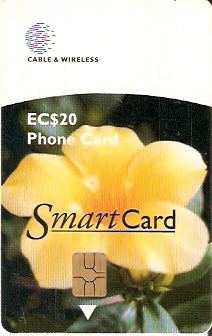 GRD-C-02 - Buttercup