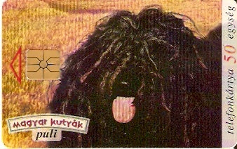 HUG-1996P-21 - Cachorro Preto