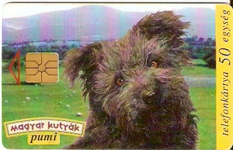 HUG-1997P-01 - Cachorro Marrom