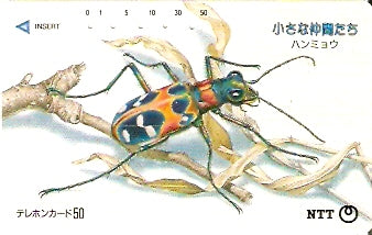 JAP-230-080