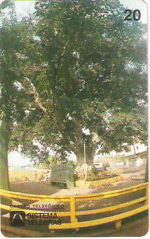 AC-005M - Gameleira