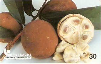 AC-017M - Cupuaçu - 30C