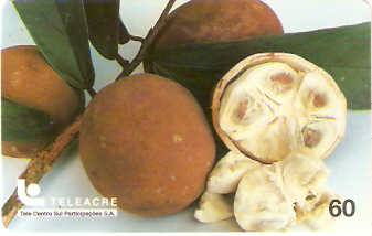 AC-018M - Cupuaçu - 60C