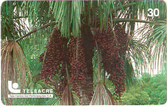AC-021M - Buriti