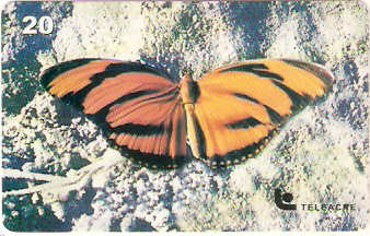 AC-035M - Borboleta - 3/3