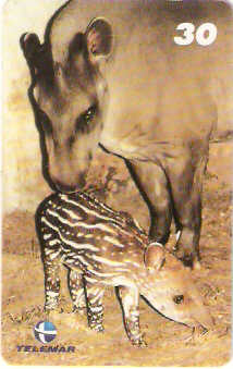 RJ-1011M - Baby Zoo - 1/8