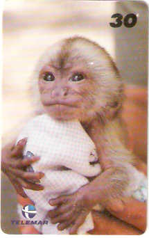 RJ-1017M - Baby Zoo - 7/8