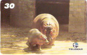 RJ-1012M - Baby Zoo - 2/8