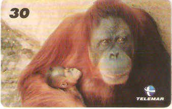 RJ-1015M - Baby Zoo - 5/8