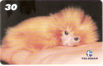 RJ-1016M - Baby Zoo - 6/8