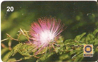 RJ-0677 - Esponjinha