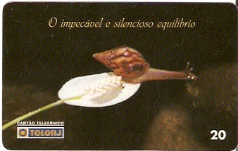 RJ-0678 - O Impecável Equilibrio