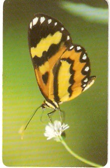 RJ-0683 - Momentos da Natureza 2