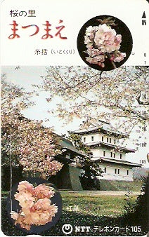 JAP-430-228