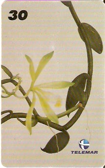 RJ-0777 - Vanilla Chamissonis