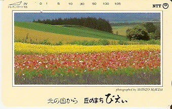 JAP-431-110
