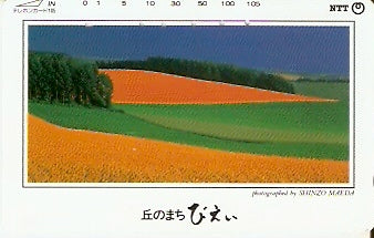 JAP-431-145