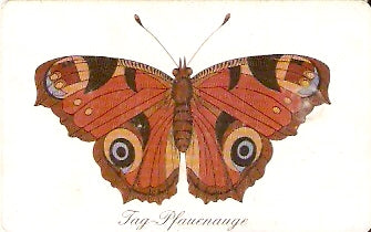 GER98PD15 - Borboleta 3