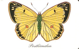 GER98PD13 - Borboleta 1