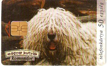 HUG-1996P-14 - Cachorro Branco