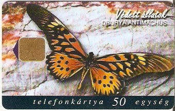 HUG-1998P-31 - Borboleta