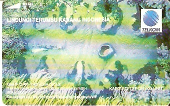 INS-S-224 - Molusco Gigante