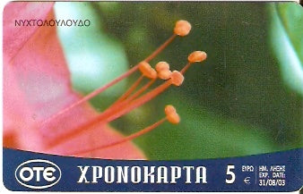 GRE-Pxr060 - Flor - Nichtoloyloydo