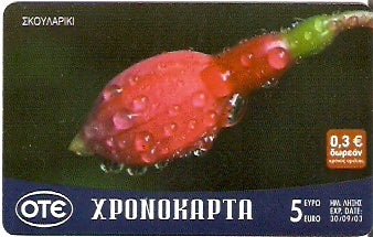 GRE-Pxr069 - Flor - Skoulariki