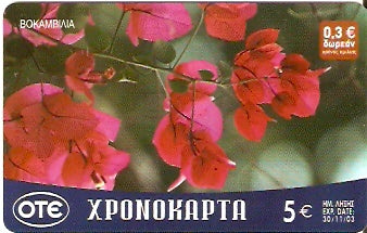 GRE-Pxr072 - Flor - Vokamvilia