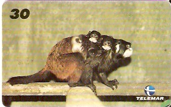 RJ-1014 - Baby Zoo - 4/8