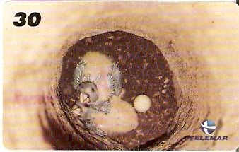 RJ-1018 - Baby Zoo - 8/8