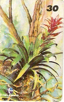 RJ-1064 - Flores - 04/16