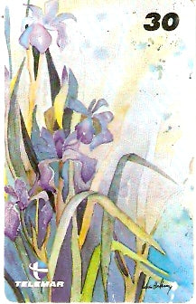 RJ-1063 - Flores - 03/16