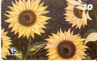 RJ-1061 - Flores - 01/16