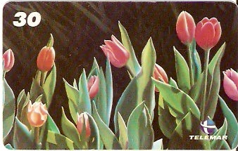 RJ-1062 - Flores - 02/16