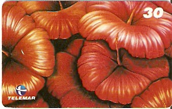 RJ-1072 - Flores - 12/16