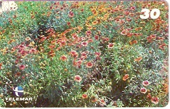 RJ-1079 - Primavera - 3/4