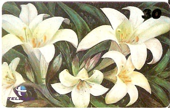 RJ-1075 - Flores - 15/16